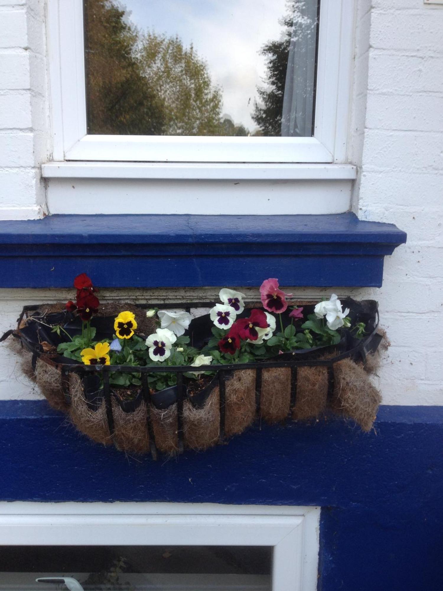 The Brandize Guest House Torquay Exterior photo